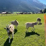 Schlafen Im Fass - Schlaffass - Abenteuer - Romantik - Haslifass مزرعة للإقامة انترتكيرشن