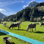 Schlafen Im Fass - Schlaffass - Abenteuer - Romantik - Haslifass انترتكيرشن