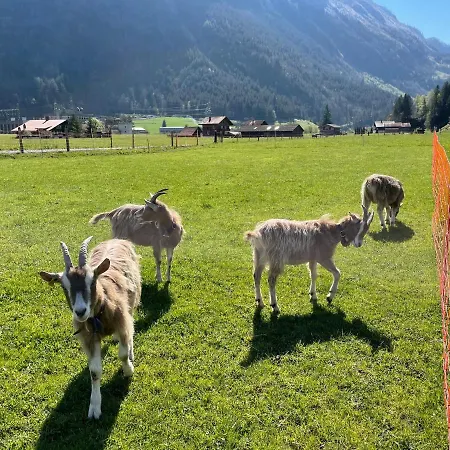 Schlafen Im Fass - Schlaffass - Abenteuer - Romantik - Haslifass Farm stay Innertkirchen