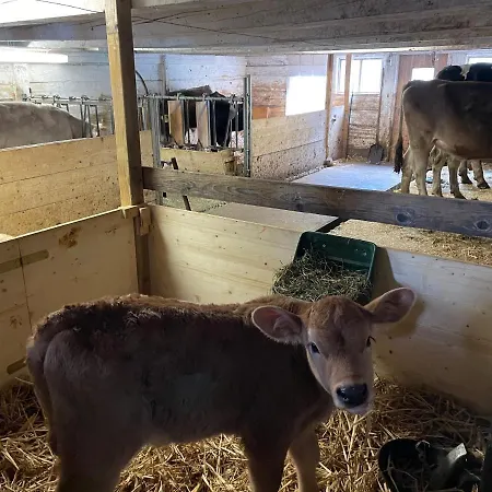 Schlafen Im Fass - Schlaffass - Abenteuer - Romantik - Haslifass Çiftlik konaklama *