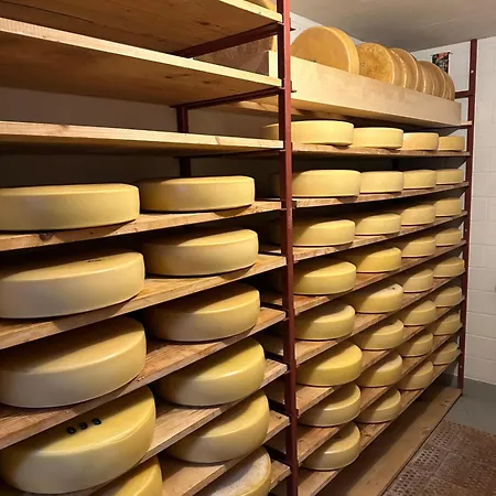 Schlafen Im Fass - Schlaffass - Abenteuer - Romantik - Haslifass Çiftlik konaklama