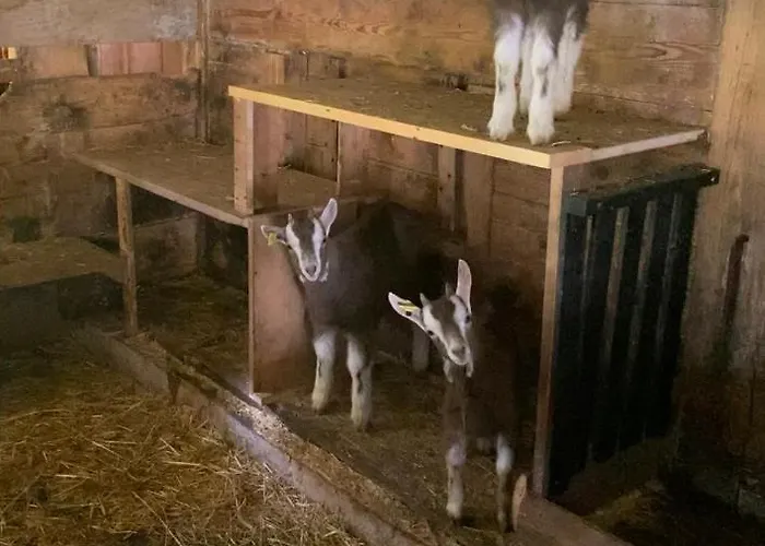 Schlafen Im Fass - Schlaffass - Abenteuer - Romantik - Haslifass Feriegård *