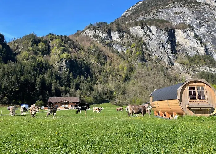Schlafen Im Fass - Schlaffass - Abenteuer - Romantik - Haslifass Feriegård *