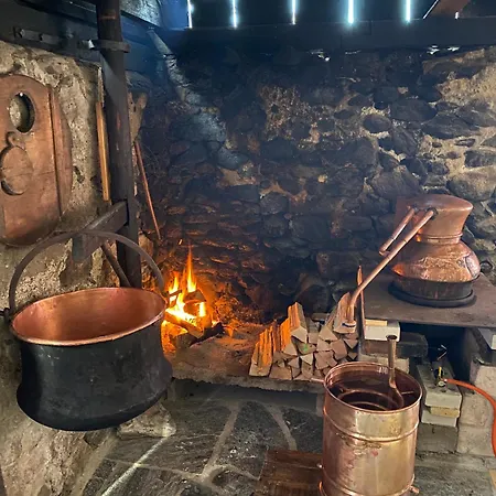 Feriegård Schlafen Im Fass - Schlaffass - Abenteuer - Romantik - Haslifass *